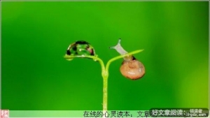 纵然渺小，也要活出自己的姿态