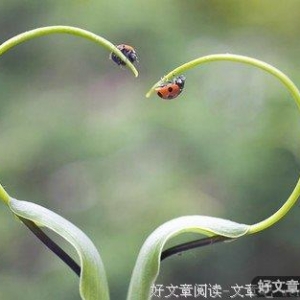 《昆虫记》的诞生