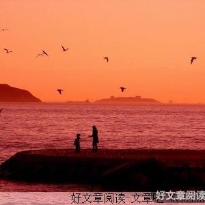 母亲的信