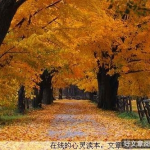 平淡人生真滋味