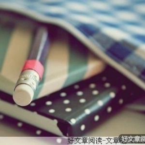 医生的日记
