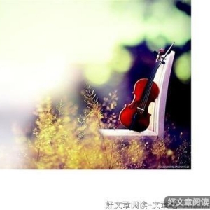 继续or放弃 我陷入两难