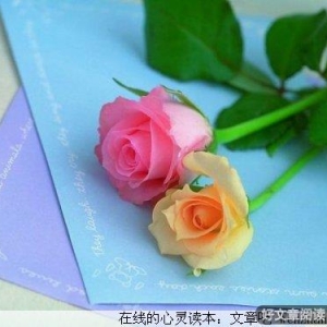 把心靠岸，顺其自然