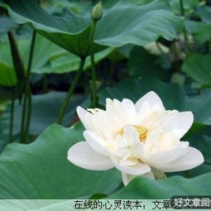 现在才是最可靠的
