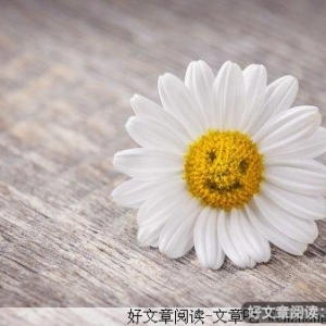 微笑是最美丽的花朵
