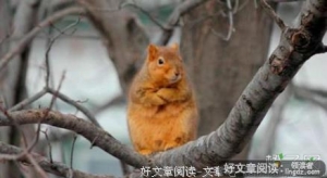 随性而起，开心就好