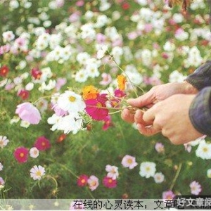 除了爱，我还能给你什么