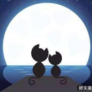 忽然不想努力了，怎么办？