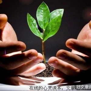谁来关注教师的内心