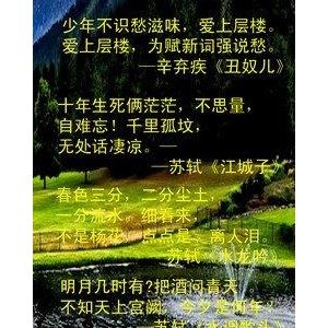一哈名句欣赏
