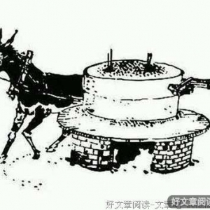 马羞辱驴，驴一怒之下竟然……（十个人看完十个人开悟）