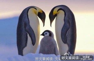 夫妻如筷、相互依赖！