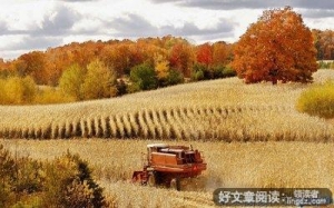 关于色彩斑斓的语句