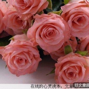 凡事都有个“度”