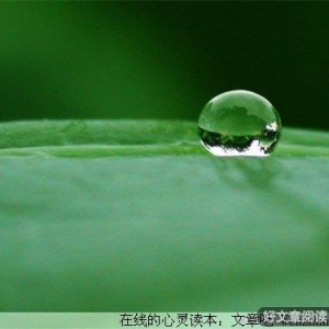 影响女人一生的7种资本