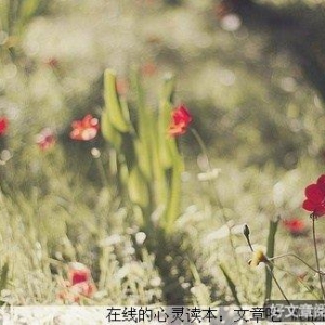 爱是一样的