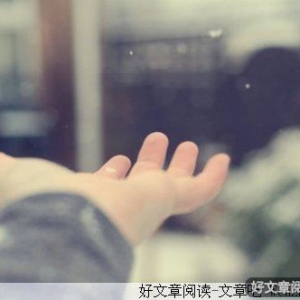 冬季的雪绒