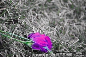 生命结束的瞬间，泪水划过脸颊