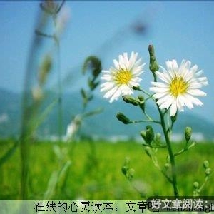 命运掌握在自己手里