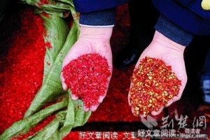 帅气老公迷途知返 我选择了原谅