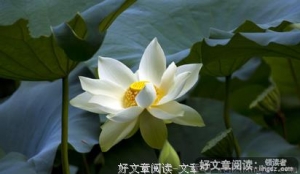 人生，今生的苦，是为了修来生！