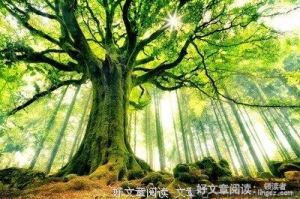 生活中的阴暗与阳光
