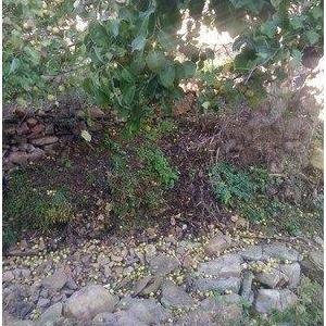《失衡生活》观后感10篇
