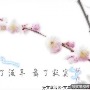 寂寞花开，只为等你的到来