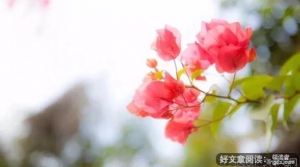 赏读丨又是一年高考时