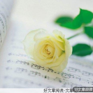 暧昧，伤人伤己