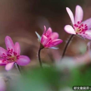 要摧毁一份感情，一句话就够了