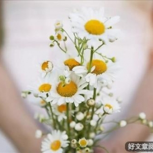 吃好三碗面：体面，场面，情面