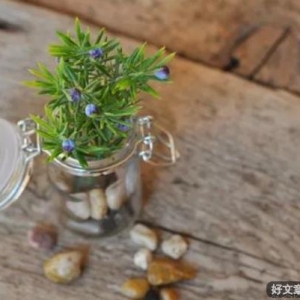 储存阳光，必有远芳