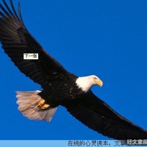 男人，应该这样活着
