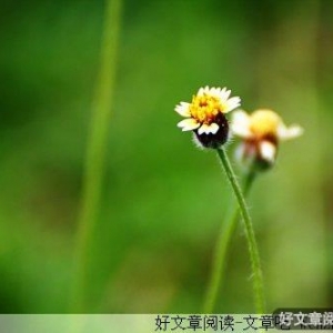 改变源自对机会的把握