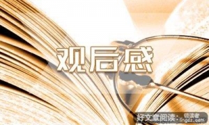 《匠心》观后感精选