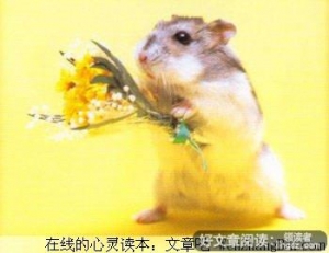 恋爱比喻
