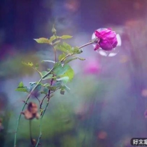 给自己一个信仰，活出想要的模样