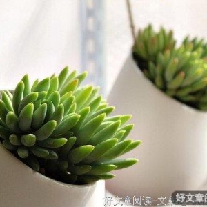 故事很短道理很深