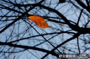 Beyond Feelings读后感精选