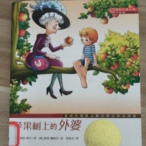 去圣伯多禄的路上的读后感10篇