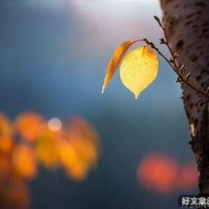 对待生活要嬉皮笑脸