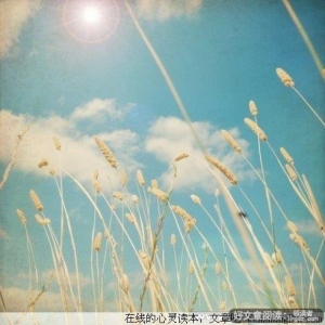 这才是人生