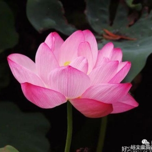 积阴德 得神助
