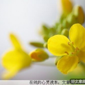 学会说“NO”