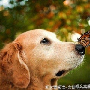 不要等到有车才奔跑