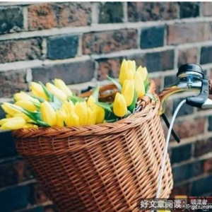 有关离不开的句子