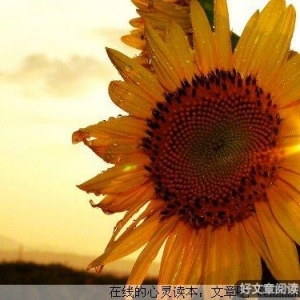 其实不必太认真