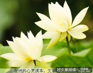 你的做人成功吗