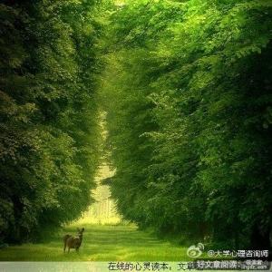 六招,教你做个不平凡的人